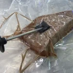 sous vide equipment