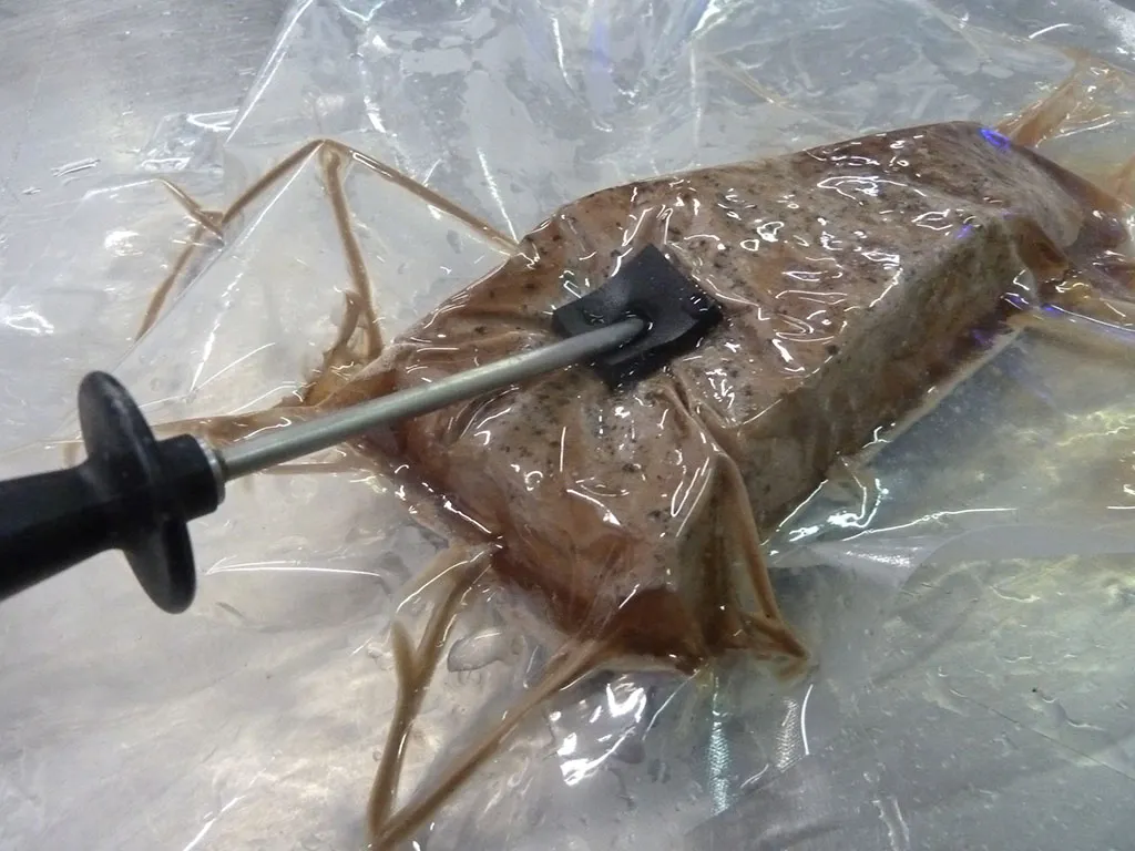 sous vide equipment