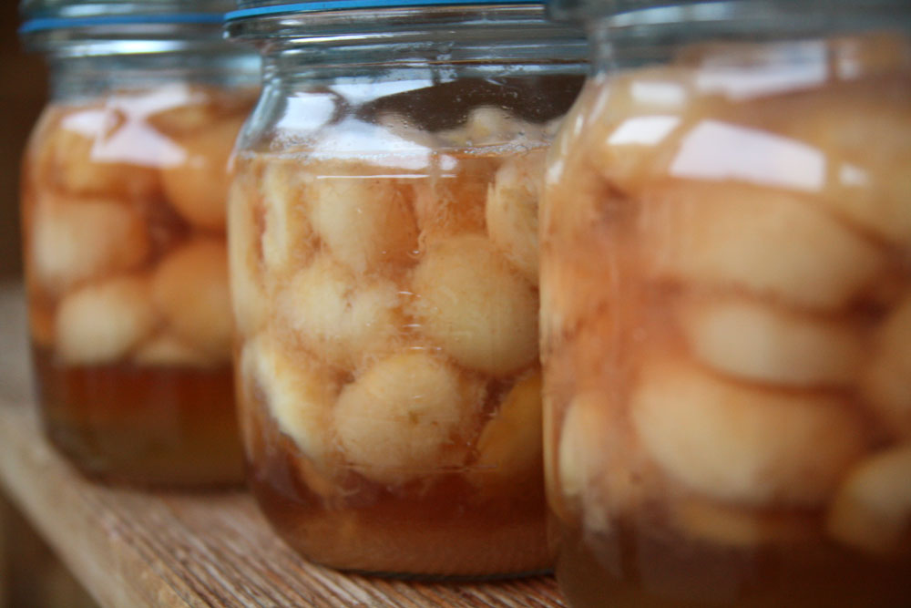 Jars of white peaches in syrup