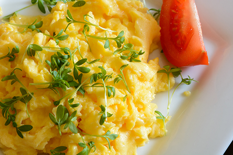 Scrambled eggs with cress and tomato on white plate