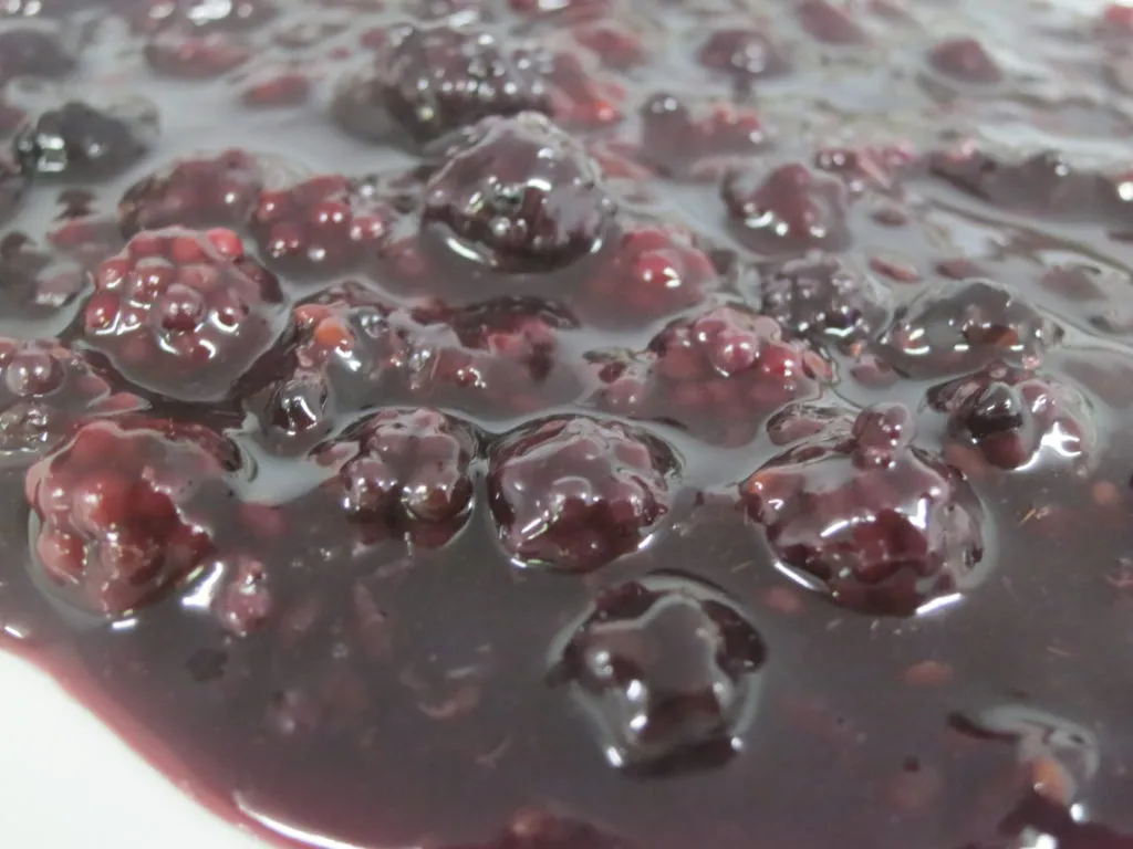 Blackberry-Yoghurt-Filling