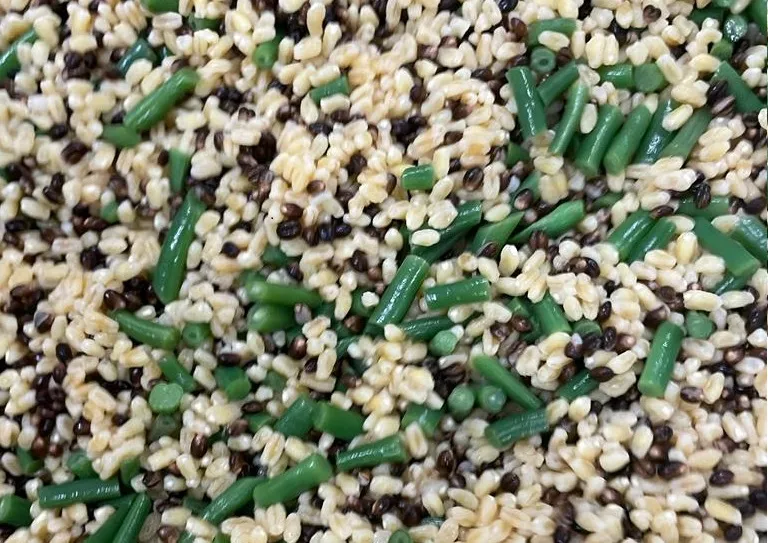 Rice-and-beans-dish