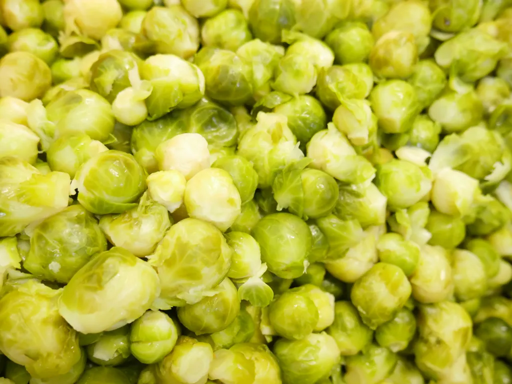 Sprouts-dish