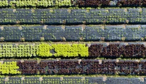 Sustainable Food Processing: Best Practices and Innovations
